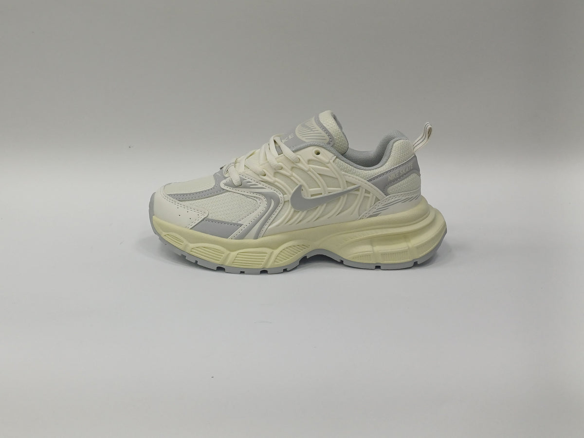 Nike Skate Beige Gris