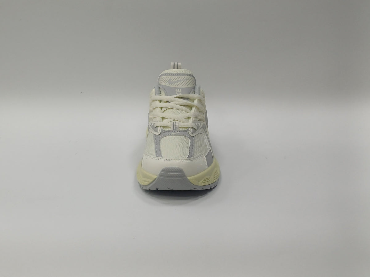 Nike Skate Beige Gris