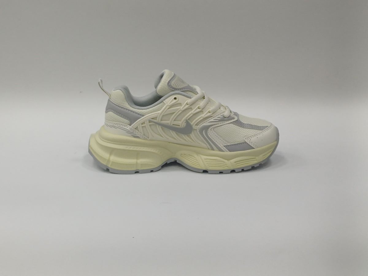 Nike Skate Beige Gris