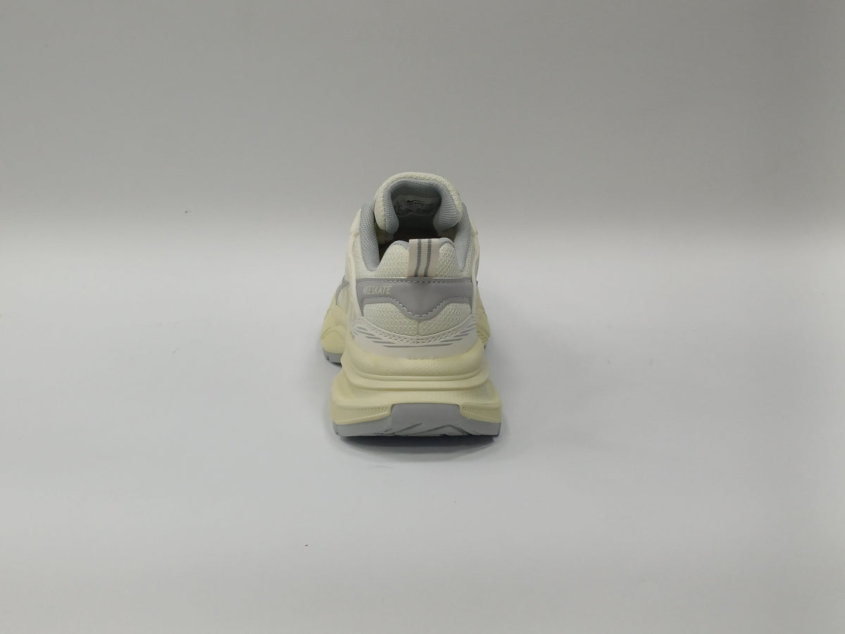 Nike Skate Beige Gris