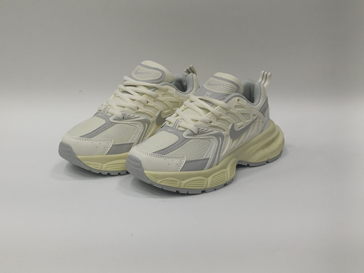 Nike Skate Beige Gris