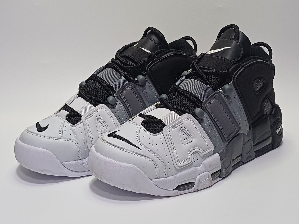 Nike Uptempo Tricolor Gris